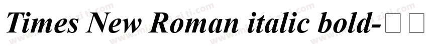 Times New Roman italic bold字体转换